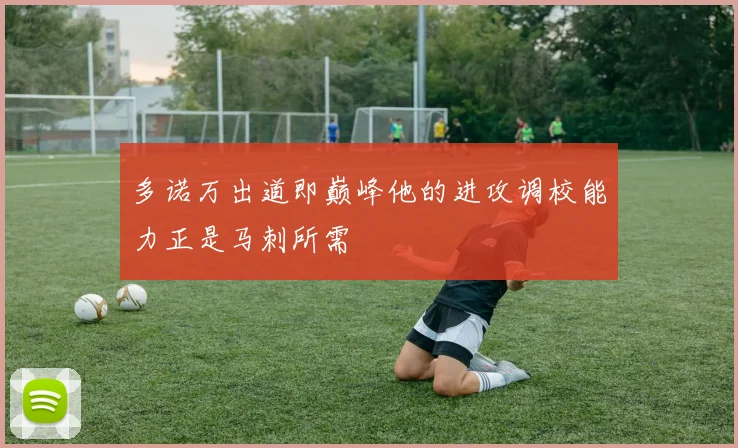 多诺万出道即巅峰他的进攻调校能力正是马刺所需