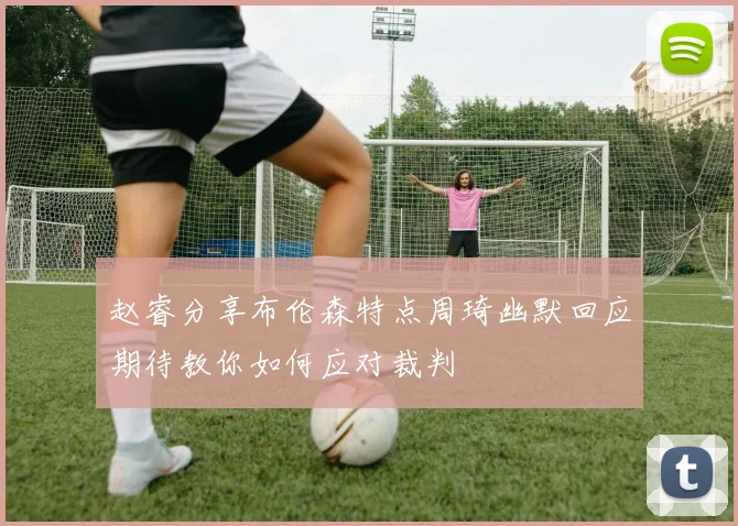 赵睿分享布伦森特点周琦幽默回应期待教你如何应对裁判